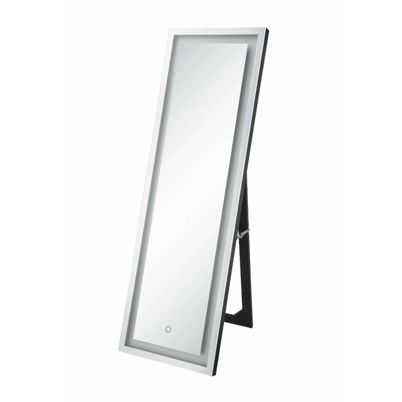 Budget β¨ Floor & Leaning Acme Furniture Nyoka Rectangular LED Floor Mirror π