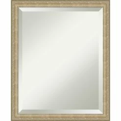 Top 10 ๐ Amanti Art Paris Champagne Framed Wall Mirror - 18.12 X 22.12 In โ๏ธ