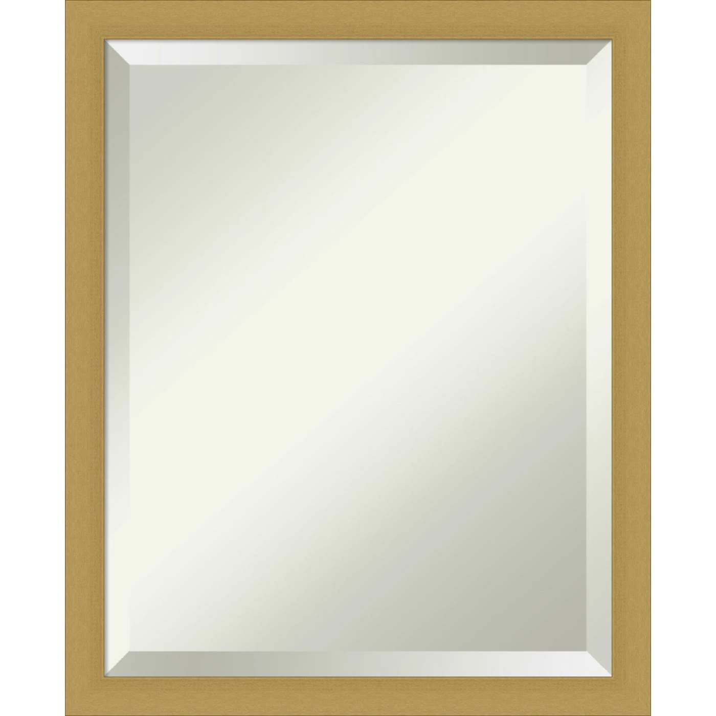 Coupon π€© Amanti Art Grace Brushed Gold Narrow Framed Wall Mirror - 18 X 22 In β¨