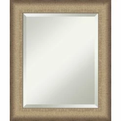 Budget 🔔 Amanti Art Elegant Brushed Bronze Framed Wall Mirror - 20.75 X 24.75 In 👏