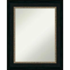 Best Sale π Amanti Art Paragon Bronze Framed Non-Beveled Bathroom Vanity Wall Mirror - 24.5 X 30.5 In π§¨