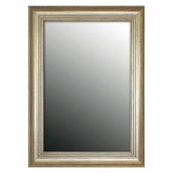 New 🔥 Hitchcock Butterfield Bolshoi Distressed Wall Mirror 🎁