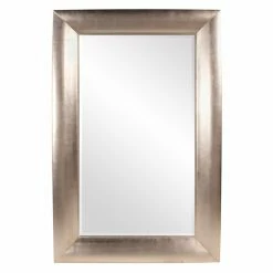 Flash Sale ❤️ Floor & Leaning Elizabeth Austin Barron Silver Leaning Floor Mirror - 52W X 80H In. 🎉